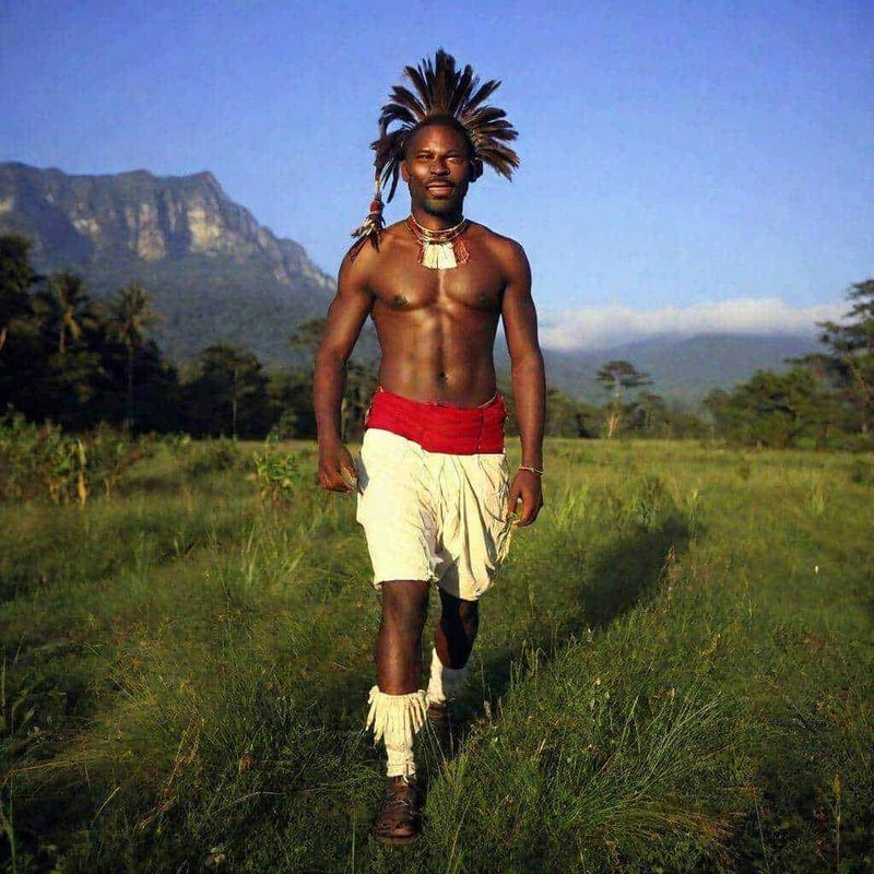 L'Ultimo dei Mohicani libro, contesto storico 3 L'Ultimo dei Mohicani libro, contesto storico