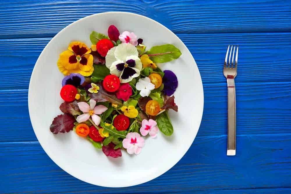 Colorata insalata di fiori eduli e verdure su piatto bianco con posata accanto, ideale per piatti vegetariani e decorazioni culinaria, posizionata su tavolo in legno blu.