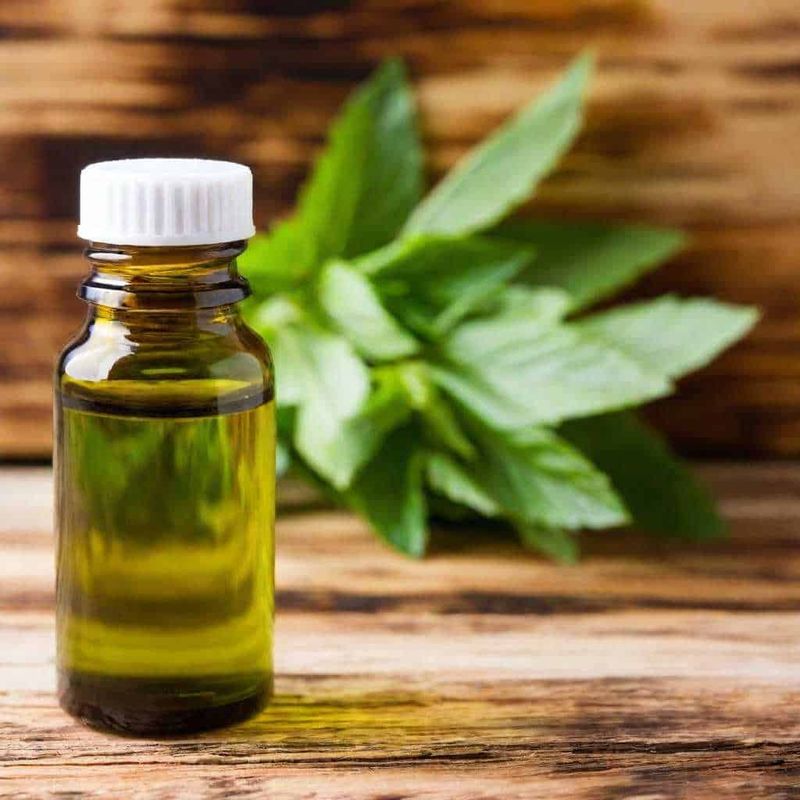 Cosa sono gli Estratti Idroenzimatici 3 Cosa sono gli Estratti Idroenzimatici