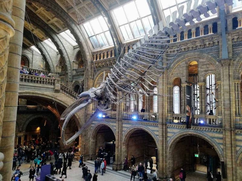 10 Quartieri di Londra a capodanno 6 File da verificare, relevanto per articoli di viaggi e musei.