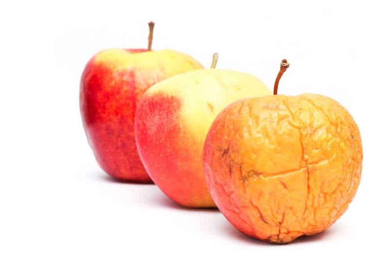 Perché la frutta matura e altre no? 2 Perché alcuni frutti maturano e altri no: Perché la frutta matura e altre no?