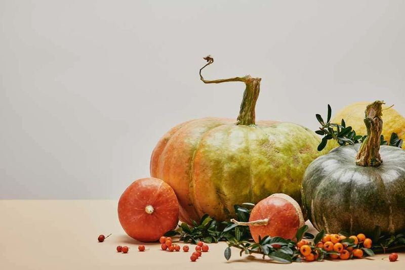 Dieta autunnale Orac: quali cibi mangiare 3 Dieta autunnale Orac: quali cibi mangiare