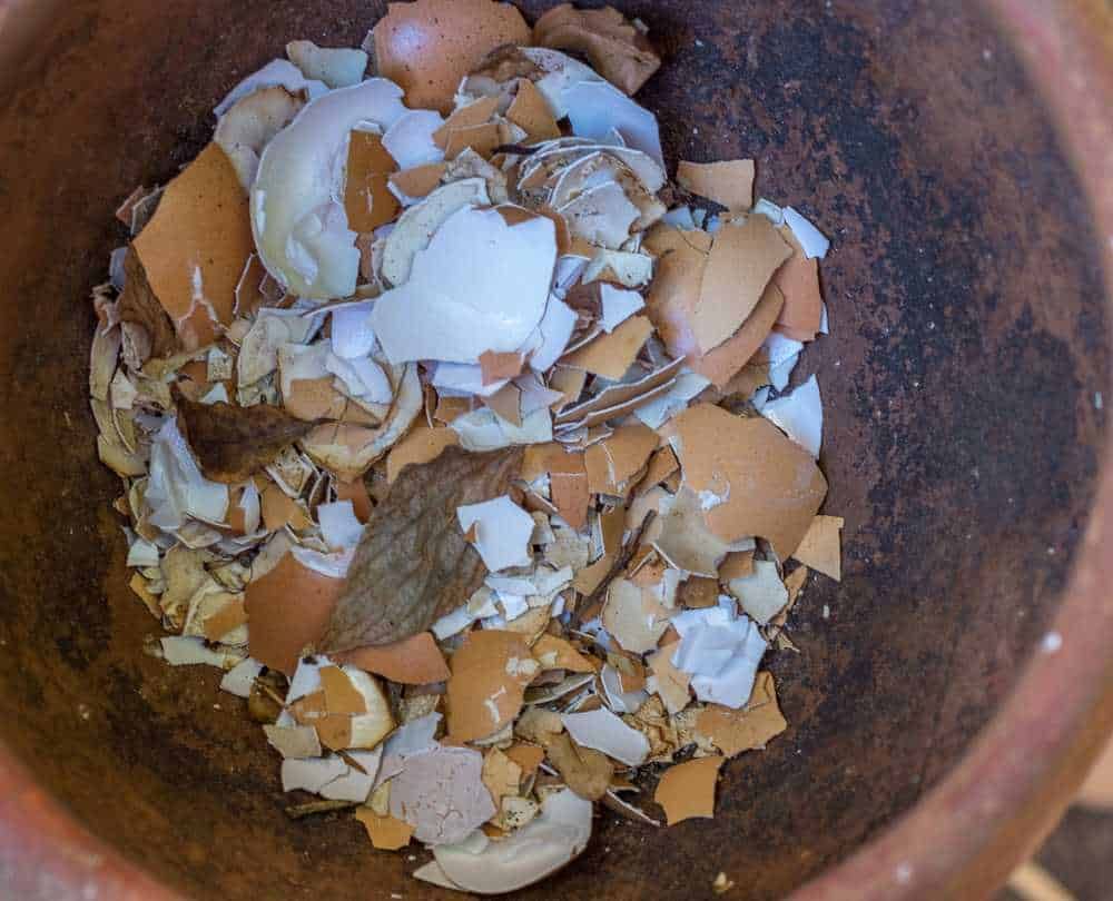 Resti di uova e gusci in ciotola di terracotta, materiali riciclabili e biodegradabili, ideali per compostaggio naturale e uso in giardinaggio biologico. Riciclo sostenibile di scarti alimentari e ambientali.