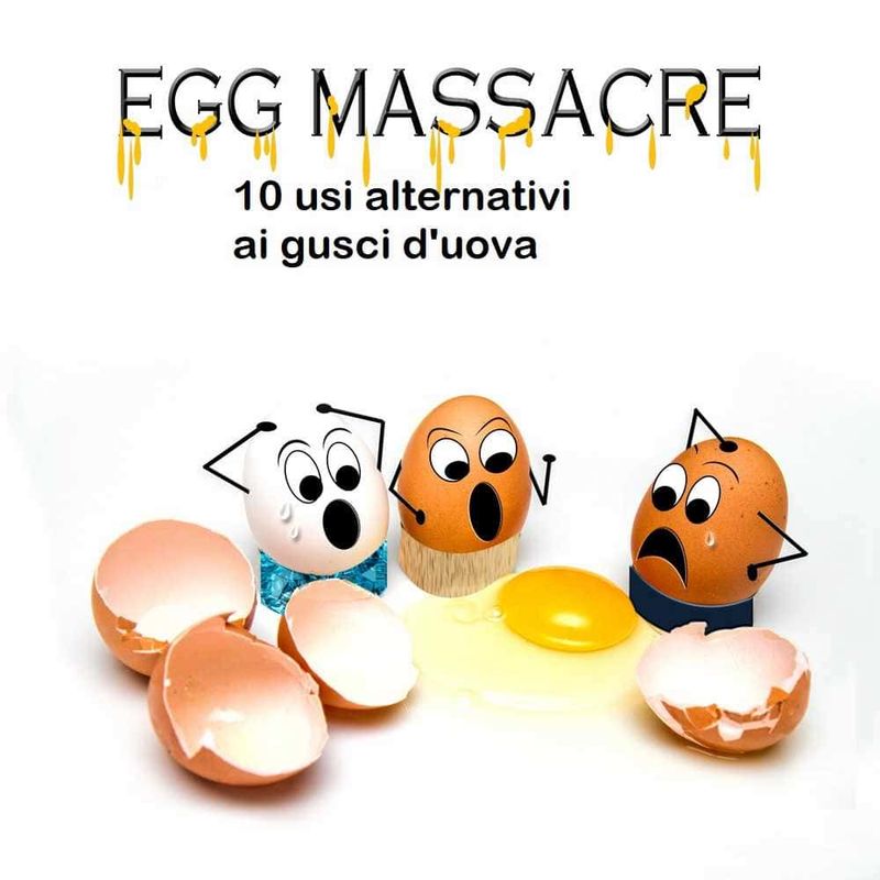 10 usi alternativi gusci di uova 2 Gusci d'uovo in giardino: 10 usi alternativi gusci di uova