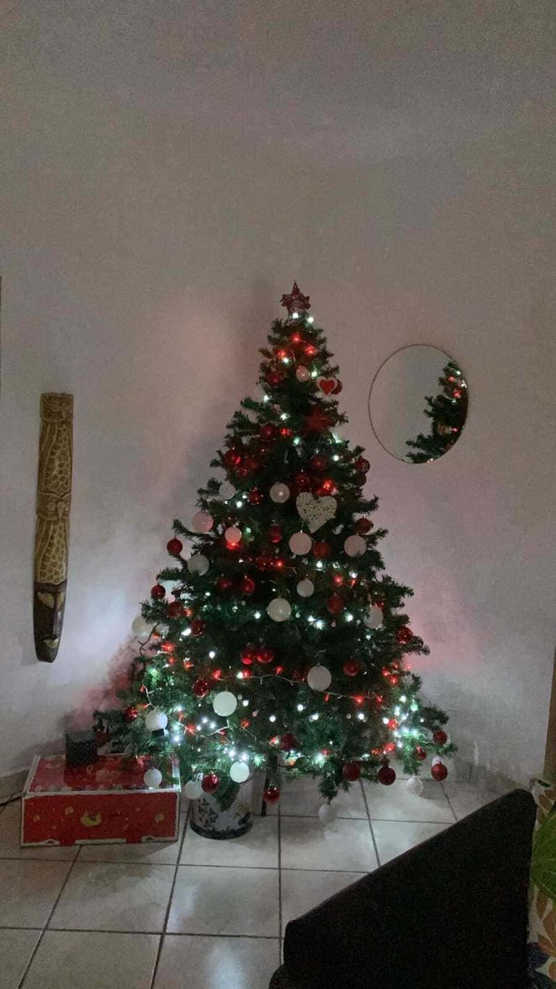 Quando si fa l'albero di Natale in Italia 4 Quando si fa l'albero di Natale in Italia