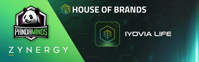IYOVIA: Promuovere la Crescita attraverso una casa di brand 5 Appunti sul blog, logo Pokémon Panda Minos e immagini di blockchain e branding digitale, ottimizzati per il SEO su appuntisulblog.it.