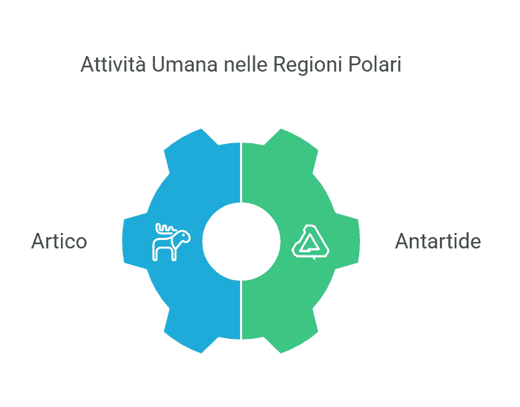 Termini di ricerca SEO punti chiave: attività umane nelle zone polari, artico antartide, fauna e esplorazioni ambientali nelle regioni polari, attività umana nelle aree fredde, studi scientifici artico e antartico.