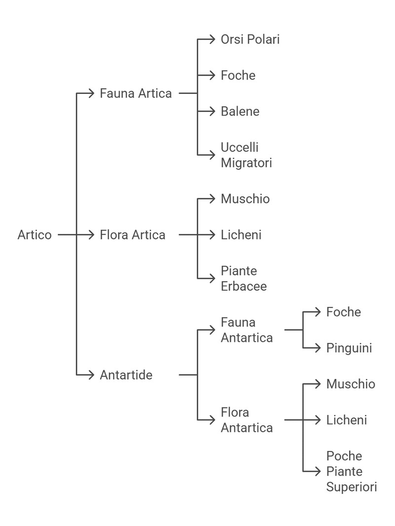 Artico e Antartico differenza geografica e clima 6 Orsi Polari e uccelli migratori nella fauna artica, con focus sulla biodiversità e gli habitat naturali dell'Artico, tra cui balene, foche e orsi polari.