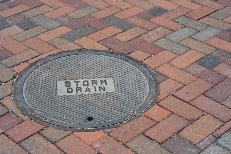 Perché tutti i tombini sono rotondi? La spiegazione fisica e storica 2 Tombini rotondi: Tombino di scarico delle acque piovane con scritta "Storm Drain" su pavimentazione in porfido.