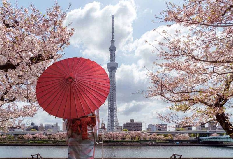 Tour Japan Golden Route in 10 giorni 3 Vita di primavera a Tokyo con il famoso SkyTree tra fiori di ciliegio in fiore e un ombrello rosso tradizionale. Scopri i paesaggi suggestivi e le tradizioni giapponesi in questa splendida scena urbana.