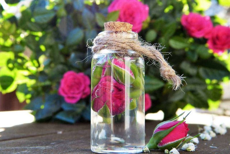 Bellezza senza spendere una fortuna: potrebbe non andare bene! 2 Cosmetici scontati: Bellezza senza spendere una fortuna: potrebbe non andare bene!