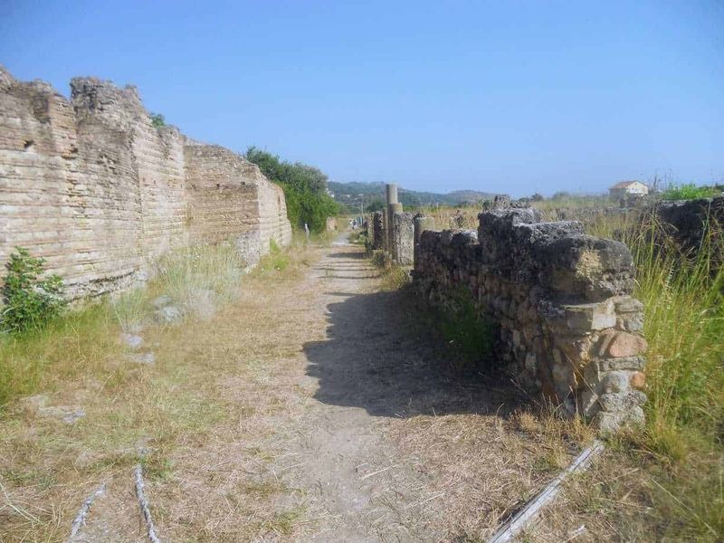 Scavi di Velia Paestum cosa vedere in 2 ore 8 Antica strada romana con resti di mura in pietra, storia e archeologia, paesaggio rurale, turismo culturale, sentieri storici in Italia.