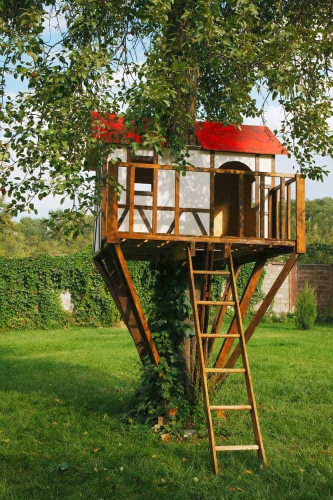 Un rifugio per uccelli costruito su un albero, con struttura in legno e tetto rosso, immerso in un giardino verde con prato ben curato e cespugli, ideale per attirare gli uccelli selvatici.