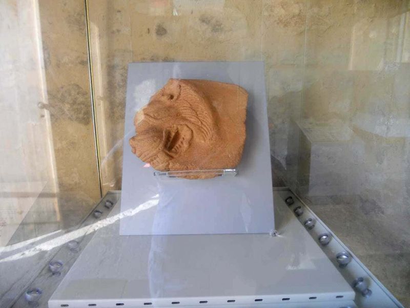 Scavi di Velia Paestum cosa vedere in 2 ore 11 Tecnica di scultura in pietra raffigurante un leone maestoso, esposta in mostra museale con illuminazione mirata e ambiente di architettura moderna. Perfetta per appassionati di arte e sculture storiche.