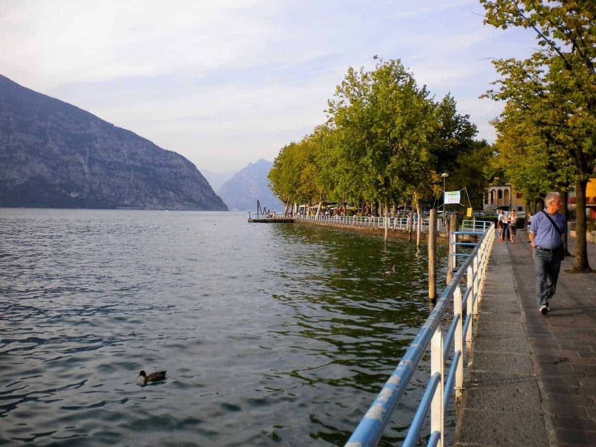 Lungolago con passeggiata in riva al lago, alberi e montagne sullo sfondo, persone che passeggiano e anatroccoli che nuotano in acqua, scenario tranquillo e pittoresco, ideale per fotografia e relax.