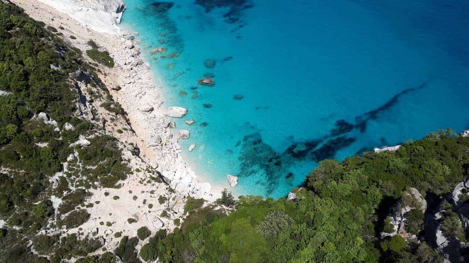 Spiaggia con acque cristalline e pineta, vista dall'alto, destinazione ideale per vacanze estive e relax in natura, sulla costa italiana per appunti sul blog.