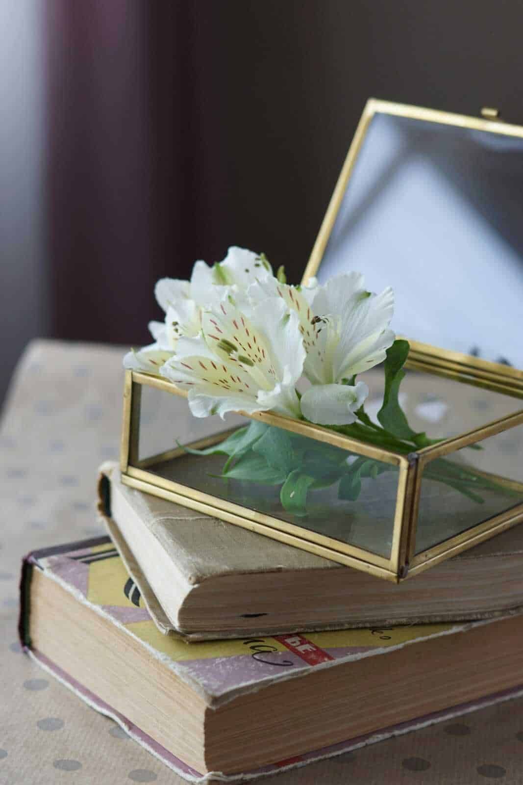 Alstroemeria: Fiore di giglio bianco in vetrina modulare sopra due libri sovrapposti, decorativa e elegante, simbolo di purezza e raffinatezza, ambientazione domestica con attenzione ai dettagli di stile.