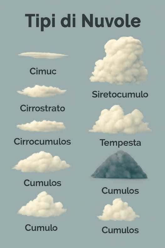 Nuvole di diversi tipi: Cumulo, Cirrostrato, Cirrocumuli, Cumulonembo, Stratocumulus, Tempesta, Cumulus, Siretocumulo, Tempesta, Cumulonembo, Cumulus. Immagine educativa sulle varie tipologie di nuvole.