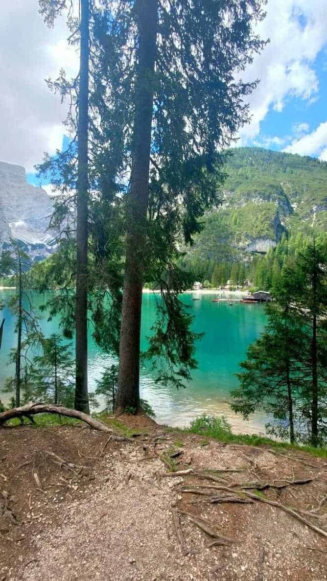 Cosa aspettarsi al Lago di Braies in inverno 5 Walden am Strand mit hohen Bäumen und Bergblick, Lago di Braies, Italia, natura, paesaggio, lago alpino, bosco, montagna, relax.