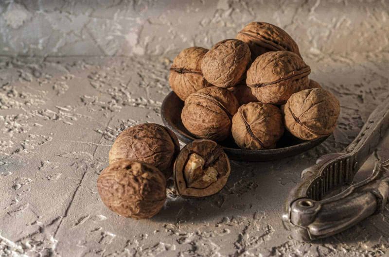 8 Tipi di allergie alimentari più comuni 5 Noci in guscio su piatto di ceramica, sfondo rustico e texture vintage.