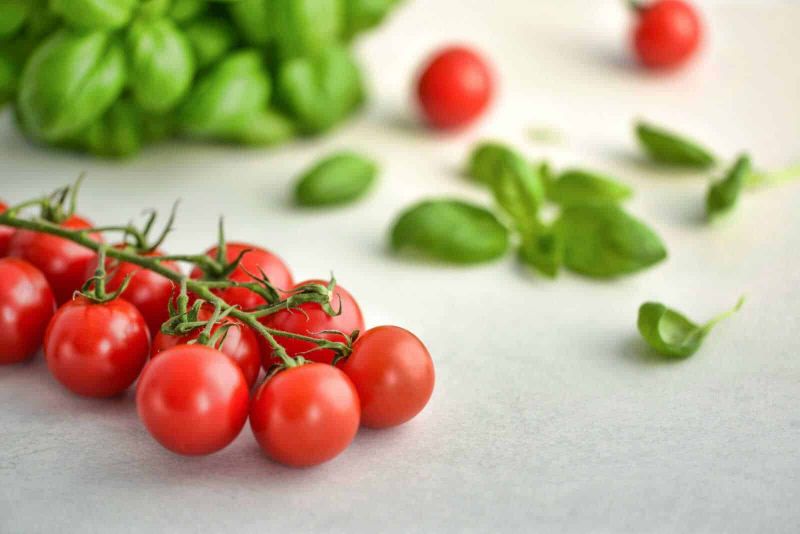 Cosa piantare sul balcone mese per mese: il calendario verde 6 Ortaggi da trapiantare