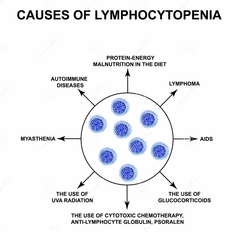 Linfociti Bassi: Cause, Sintomi e Cure 2 cause di linfocitopenia con evidenziazione di diverse condizioni mediche e fattori che influenzano il sistema immunitario.