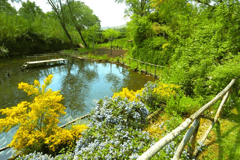 Marta (VT): cosa vedere, dove si trova e Fiume Marta | Lago di Bolsena 4 La Cannara, antica peschiera per anguille a Marta