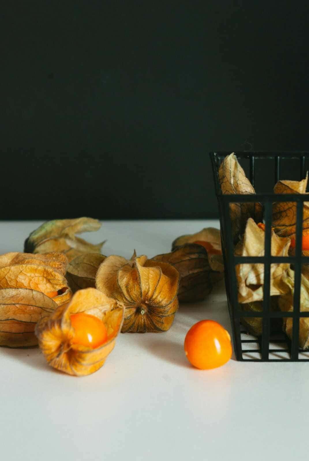 Alchechengi (Physalis alkekengi), noto anche come “lanterna cinese