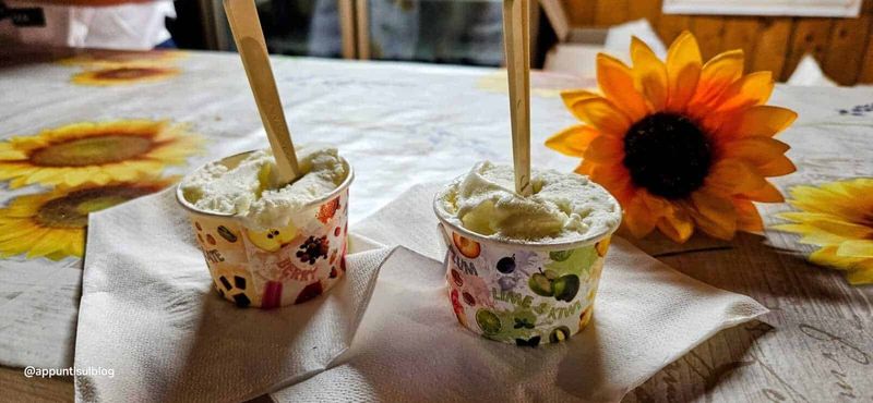 Agerola fior di latte, porta della Divina Costiera 7 Deliziose coppe di gelato su tovaglioli di carta con fiori di girasole sul tavolo in stile rustico.