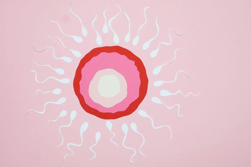 Barcellona: nuovo centro di turismo medico per il trattamento dell'infertilità 4 Sperma e ovulo stilizzati, rappresentazione artistica di concepimento, su sfondo rosa chiaro, simbolo di fertilità e riproduzione, ideale per contenuti di biologia o fertilità.