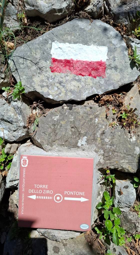 Blocchi di pietra con segnaletica turistica che indica il sentiero verso Torre dello Ziro e Pontone, tra vegetazione e roccia, segnali di orientamento a scopo turistico.