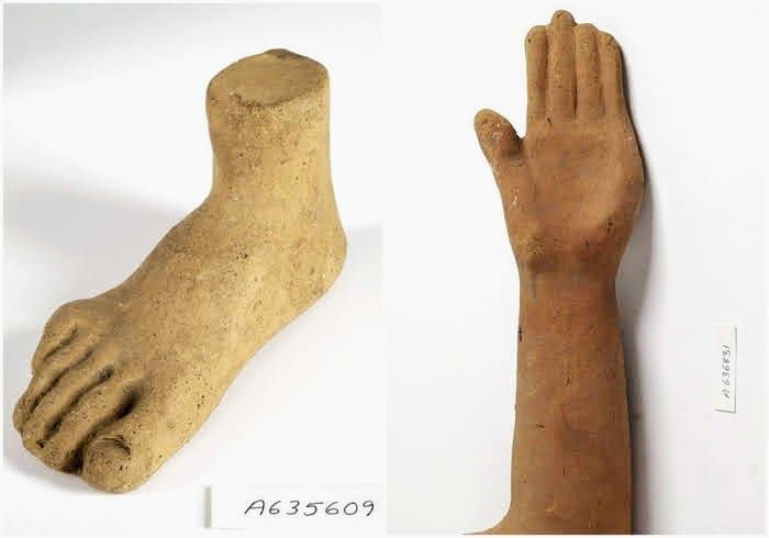 Cosa sono gli ex voto in cera anatomici 6 Trofeo antropomorfo in terracotta raffigurante un piede e una mano, esposto in un museo archeologico.