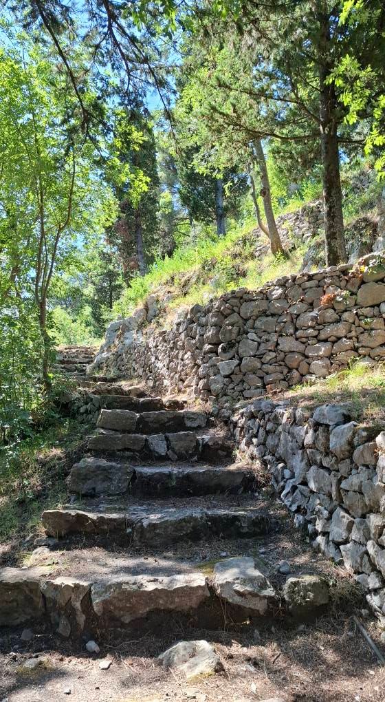 Sentiero per la Torre dello Ziro?