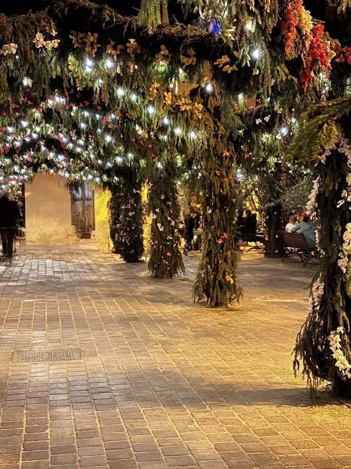 Festa dei fiori Monte Isola 2025 dopo 10 anni 7 Altezza: Alberi di Natale decorati con luci e fiori appesi in un villaggio notturno, atmosfera calda e festiva con persone che si rilassano su panchine, luci soffuse e atmosfera natalizia.