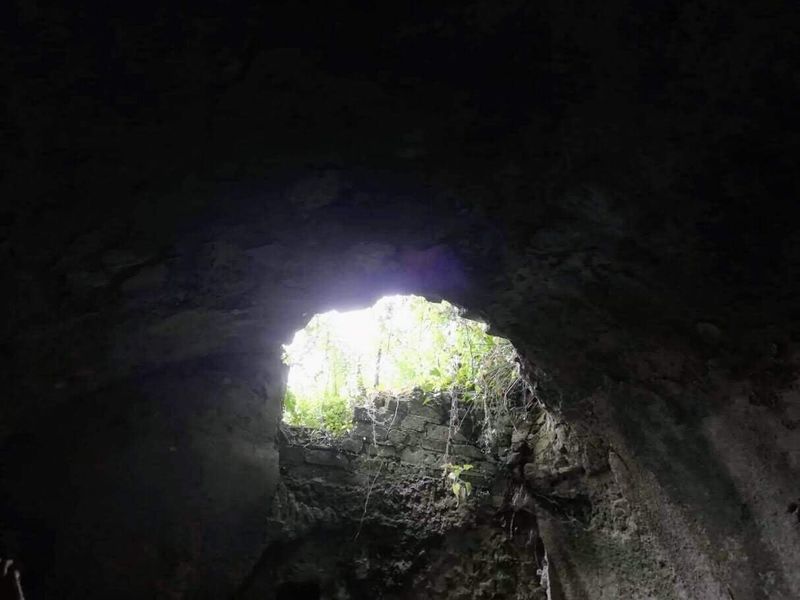 La Grotta di Oweynagat, la porta degli spiriti nella mitologia celtica 5 Foro di pietre con aperture naturale, vegetazione che cresce oltre l'ingresso, ambiente sotterraneo, esplorazione di tunnel antichi, avventura e scoperta archeologica.