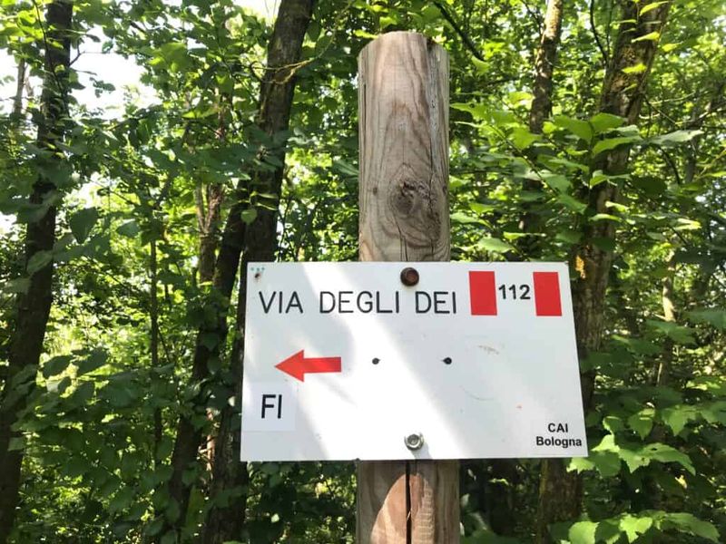 Via degli Dei in autunno: guida pratica da Bologna a Firenze - tappe, dislivelli, dove dormire 4 Via degli Dei in autunno: Sentiero nella natura con segnale stradale "Via degli Dei" in una foresta, indica direzione e emergenza 112, ideale per escursioni e trekking in Italia.