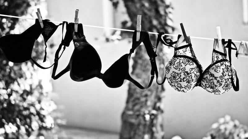 A cosa serve il ferretto del reggiseno, 8 risposte 5 Calze e biancheria intima appese ad una fune, in bianco e nero, con sfondo di alberi e natura, immagini di moda e lingerie outdoor, perfette per contenuti di blog di moda e lifestyle.