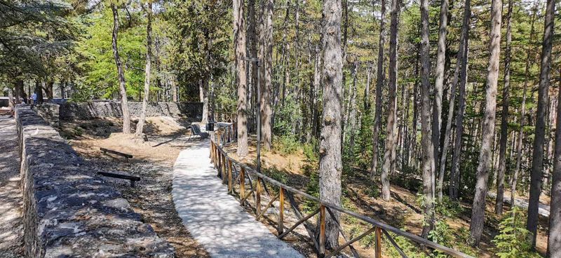 Via degli Dei in autunno: guida pratica da Bologna a Firenze - tappe, dislivelli, dove dormire 6 Via degli Dei in autunno: Sentiero nel bosco tra alberi verdi e panchine, ambiente naturale e tranquillo, escursioni all'aperto, natura, trekking, passeggiata nella natura, paesaggi boschivi.