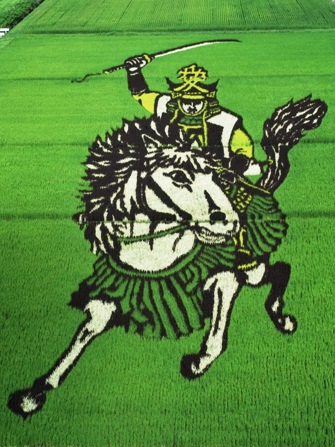 Cavaliere con armatura e spada a cavallo in un campo verde brillante, rappresenta un'icona di eroismo e avventura in campo di agricoltura e paesaggi naturali.