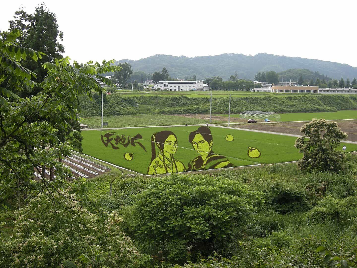 Tanbo Art Inakadate, mosaici di riso in Giappone