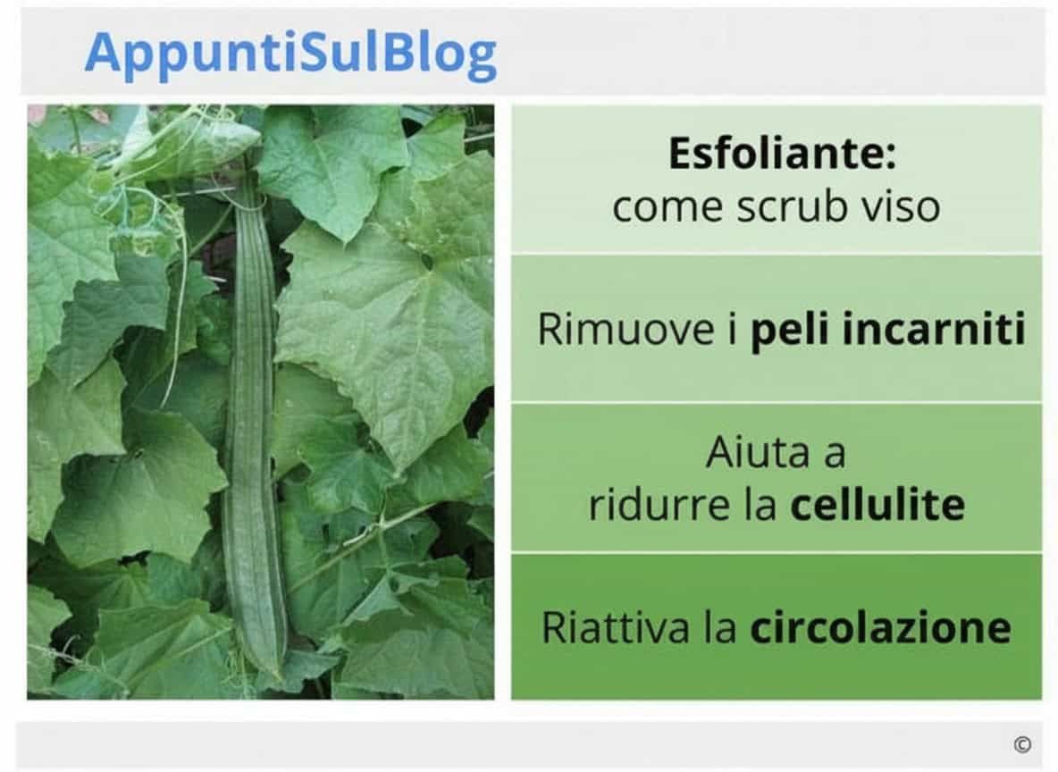 Metodo naturale di esfoliazione con cetriolo infuso, che aiuta a rimuovere i peli incarniti, ridurre la cellulite e riattivare la circolazione sanguigna, favorendo una pelle più liscia e tonica.