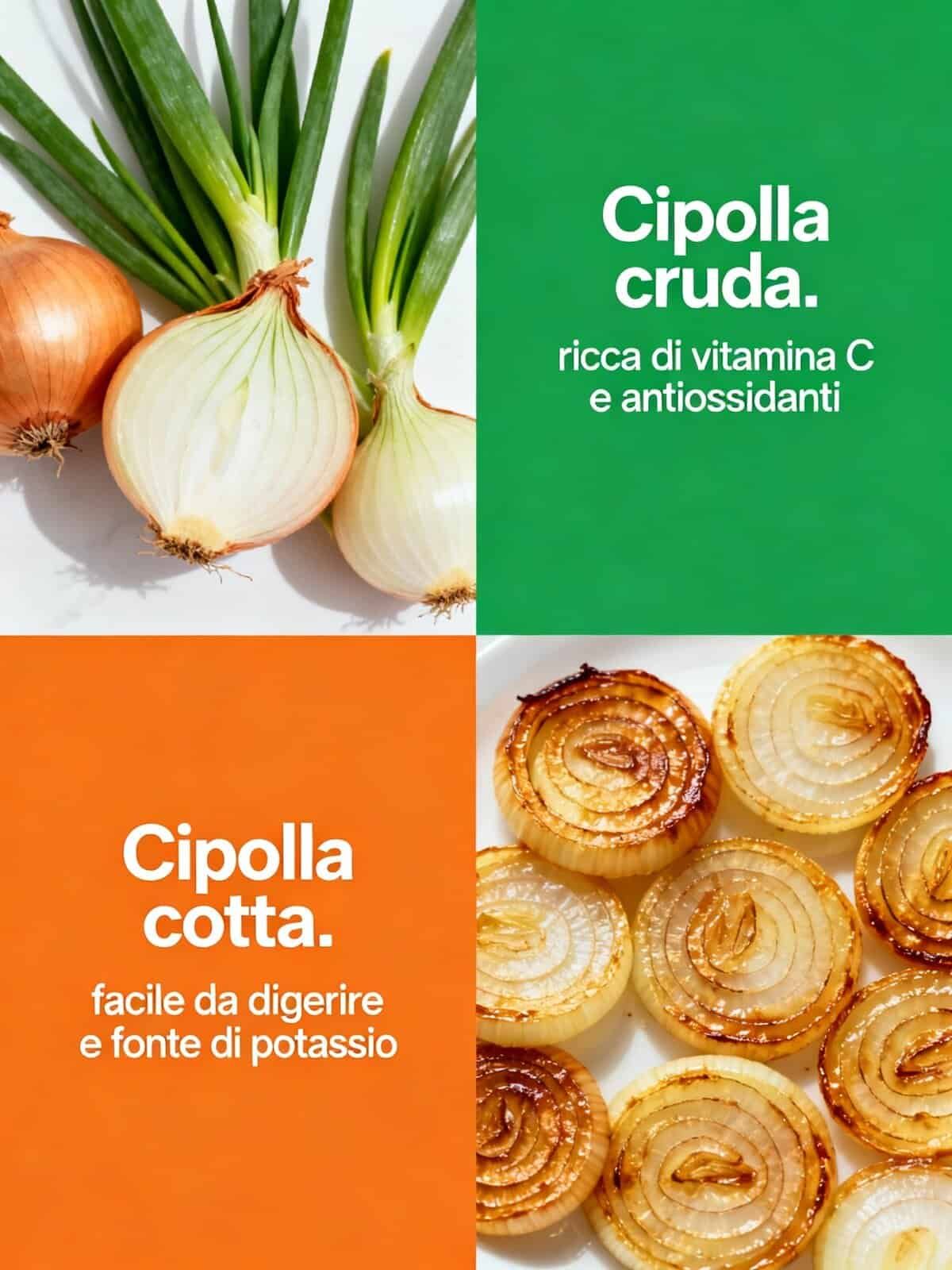 cipolla cruda e cotta, ricche di vitamine, antiossidanti e potassio, ideali per una dieta sana e gustosa, ottimi nelle ricette e facili da digerire.