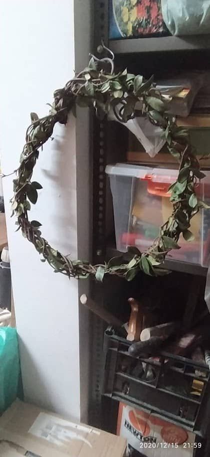 Ghirlanda natalizia decorazioni per porte 6 Corona di alloro naturale, perfetta come decorazione per eventi speciali, matrimoni, o come simbolo di onore e vittoria. Realizzata con foglie verdi rigogliose, aggiunge un tocco di eleganza.