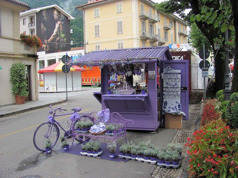 8 attrazioni a Varallo e dintorni in Valsesia 16 Chiosco di fiori e piante a Varallo Sesia, con biciclette e arredi viola, ideale per scoprire le attrazioni locali e godere della natura e del paesaggio circostante.
