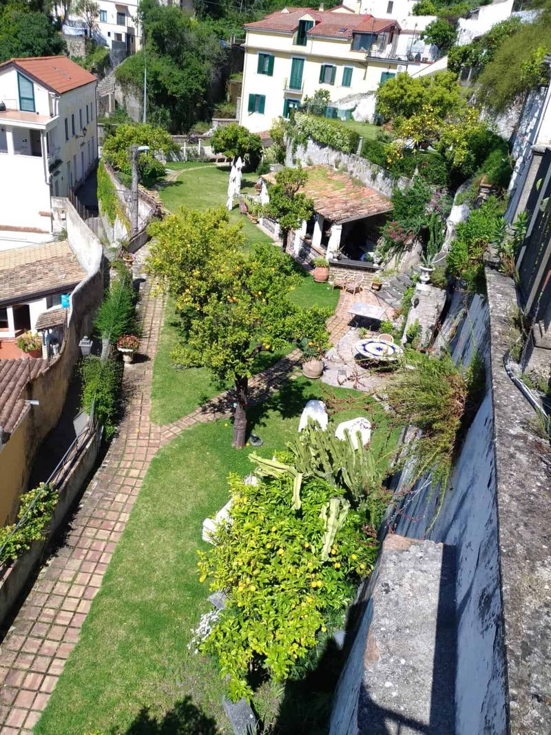 Giardino della Minerva Salerno del XII secolo (2026): storia, piante medicinali e curiosità 5 luogo turistico che domina la città di Salerno