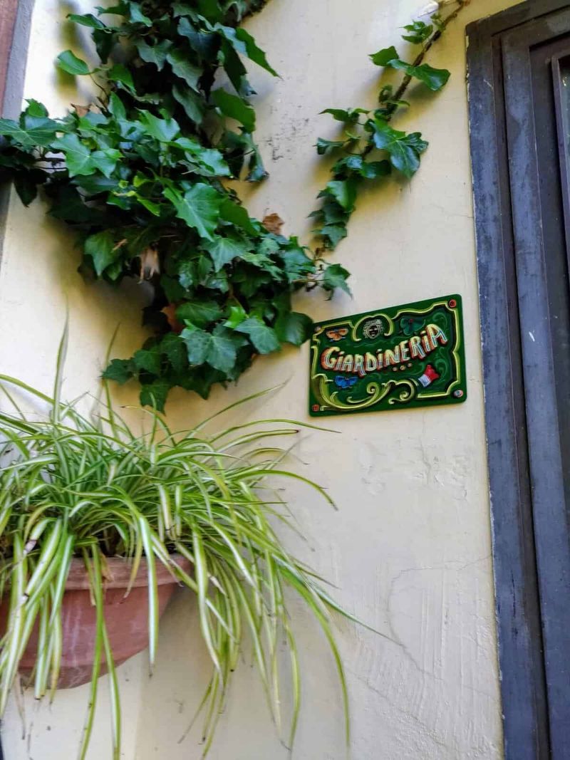 Giardino della Minerva Salerno del XII secolo (2026): storia, piante medicinali e curiosità 3 La giardineria