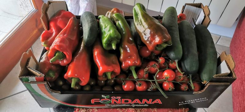 Cosa mangiare a settembre: 10 cibi di stagione da portare in tavola 5 Verdure di stagione da mangiare a settembre