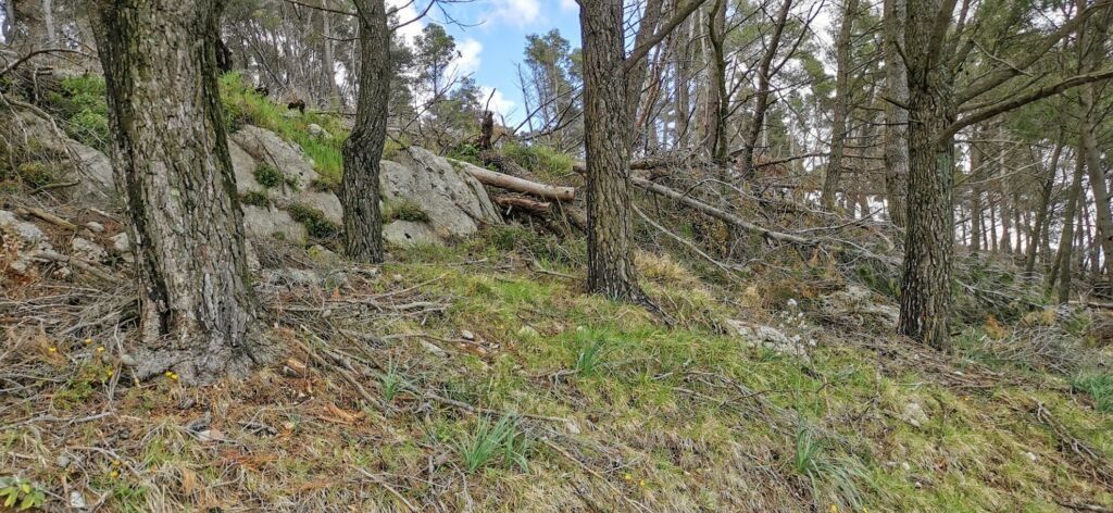 Il piacere di camminare nella natura