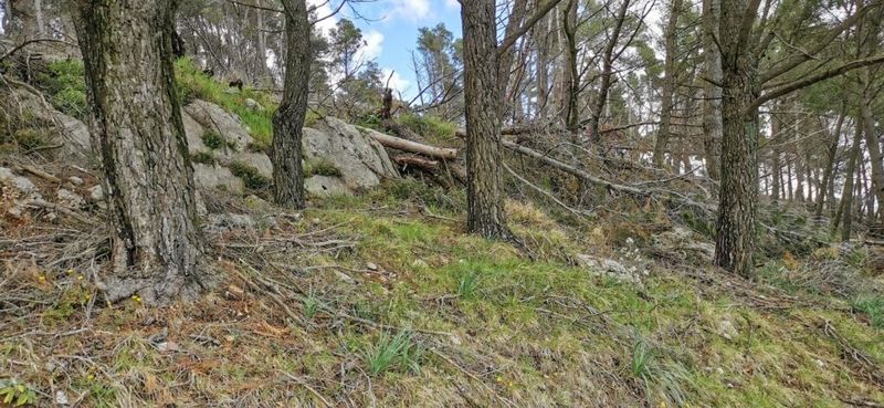 Perché scegliere la montagna in estate? Tutti i motivi per partire 5 Il piacere di camminare nella natura