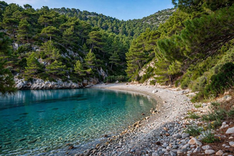 5 isole greche senza movida per una vacanza di puro relax 106 baia nascosta di Alonissos — zero beach club, solo natura.